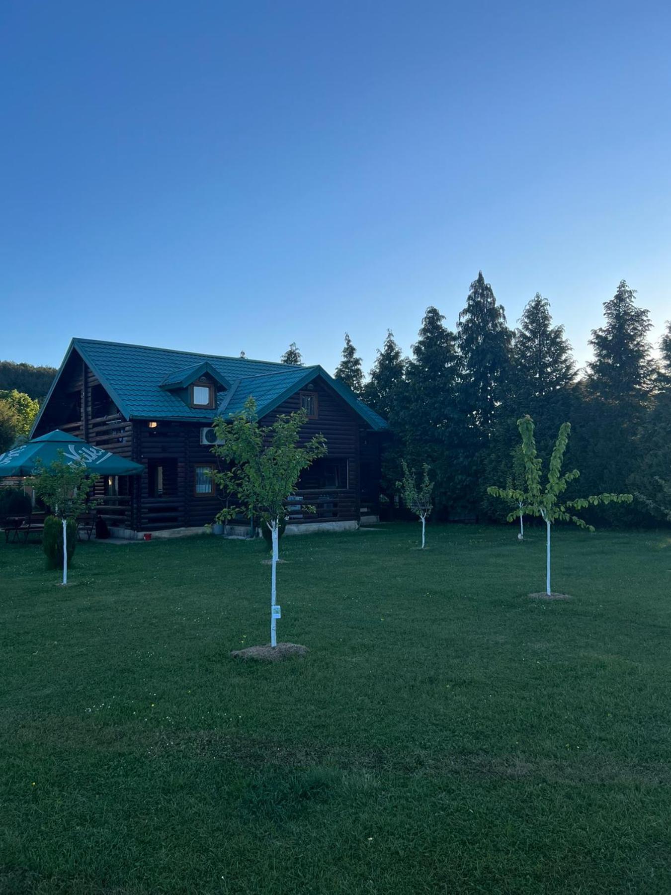 Apartments & Camp Stanisic Nikšić Buitenkant foto
